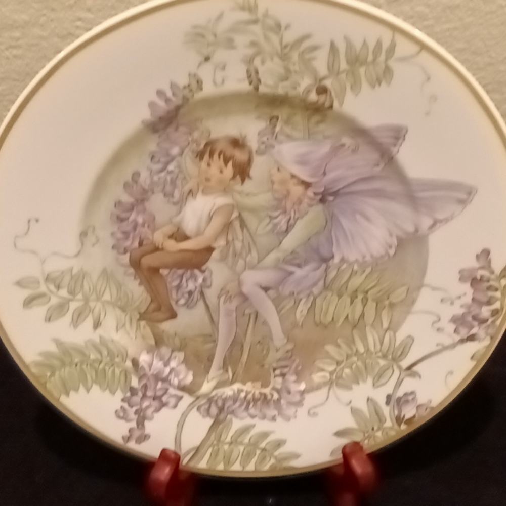 Plate Collector